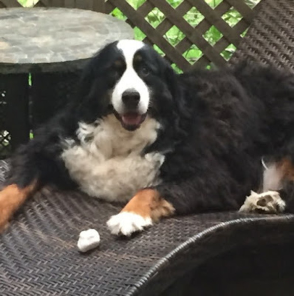 Meet your Posher, Aaron - Picture 1 of 1